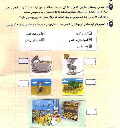 عکس مراحل کاشت گندم تا پخت نان