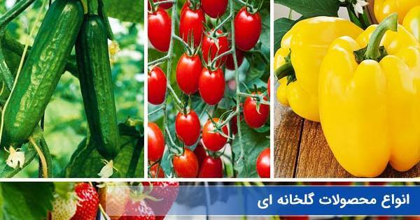 عکس کاشت گلخانه ای