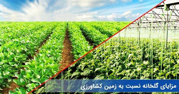 عکس کاشت گلخانه ای