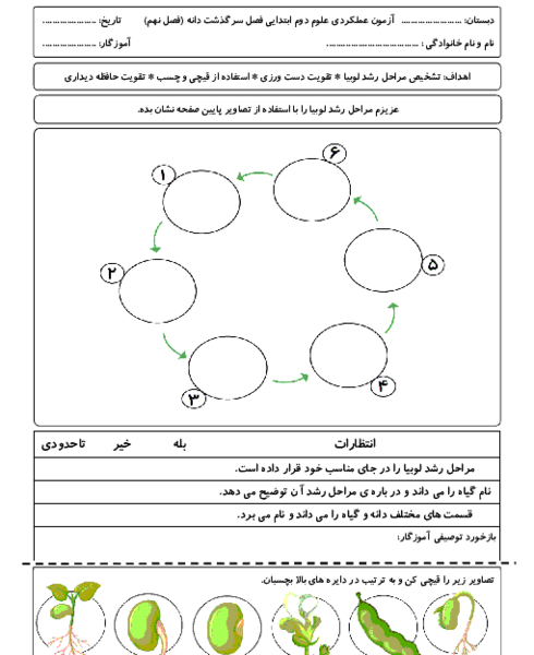 عکس مراحل کاشت لوبیا کلاس سوم