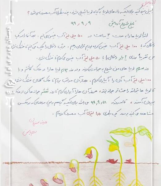 عکس مراحل کاشت لوبیا کلاس سوم