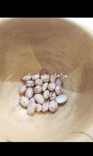 عکس مراحل کاشت لوبیا کلاس سوم