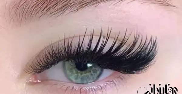 عکس کاشت مژه هیدن گربه ای