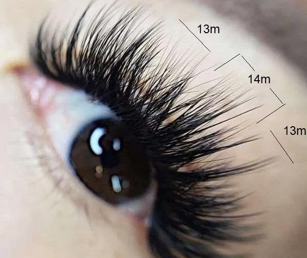 عکس کاشت مژه هیدن گربه ای