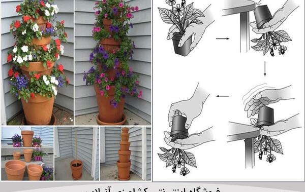 عکس مراحل کاشت گل