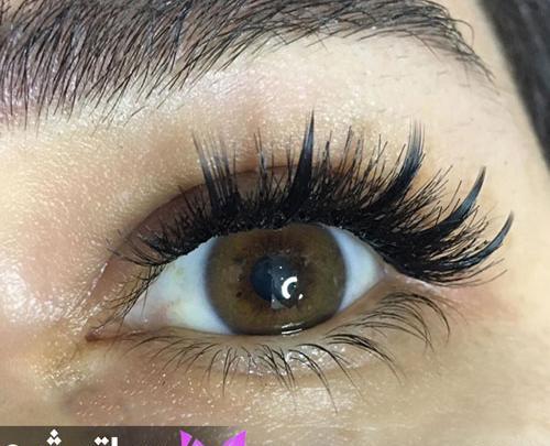 عکس کاشت مژه گیاهی