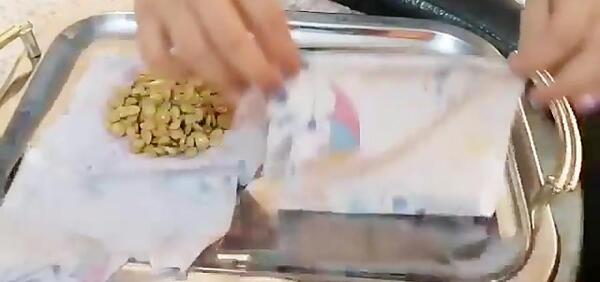 عکس مراحل کاشت عدس برای مدرسه