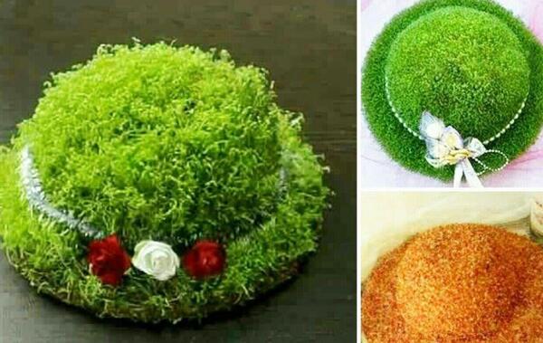 عکس کاشت سبزه مرحله به مرحله