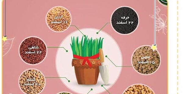 عکس مراحل کاشت سبزه