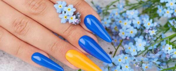 عکس کاشت ژلی
