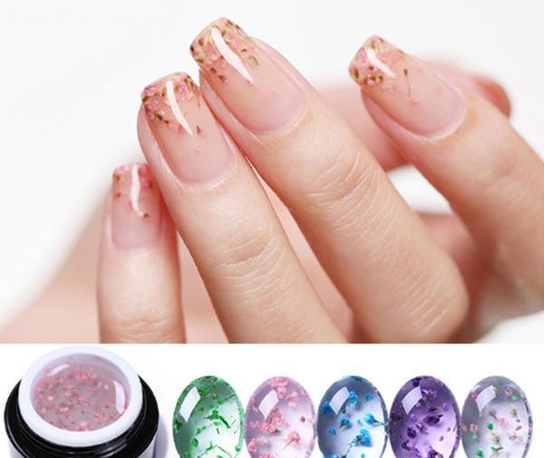 عکس کاشت ژله ای