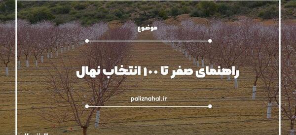 عکس مراحل کاشت درخت