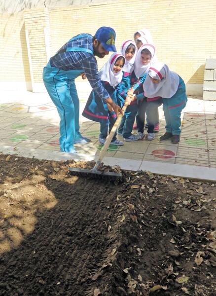 عکس مراحل کاشت داشت برداشت