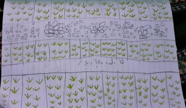 عکس نقاشی کاشت داشت برداشت