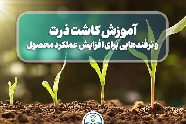 عکس نقاشی کاشت داشت برداشت
