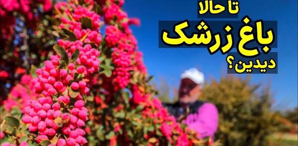 عکس در مورد کاشت داشت برداشت