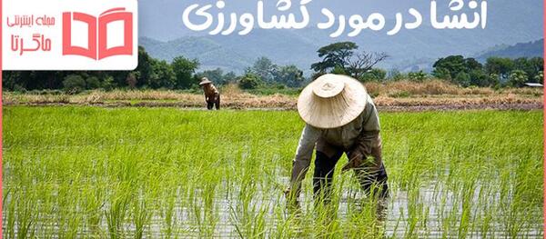 عکس در مورد کاشت داشت برداشت