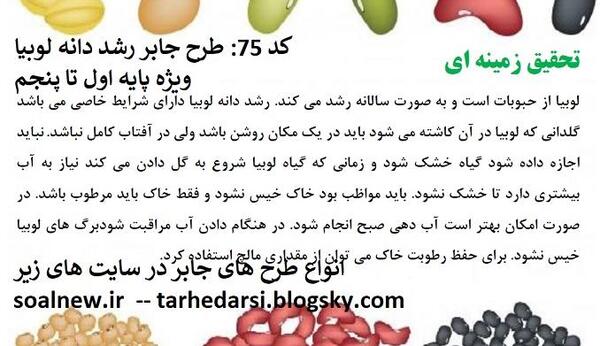 عکس مراحل کاشت دانه لوبیا