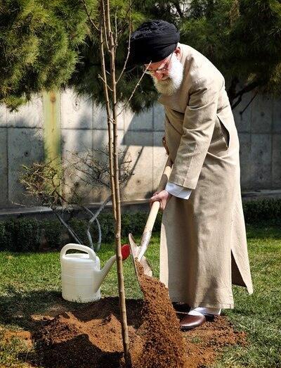 عکس رهبر در حال کاشت درخت