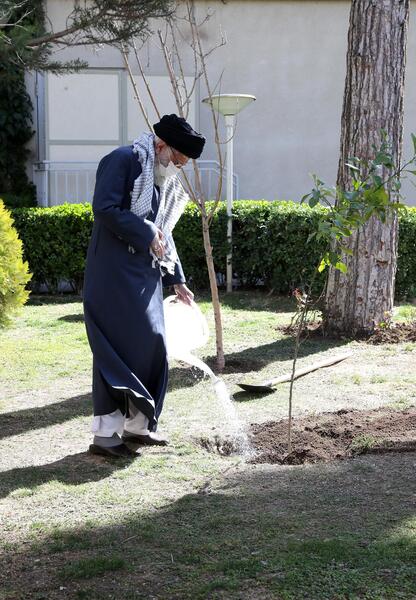 عکس رهبر در حال کاشت درخت