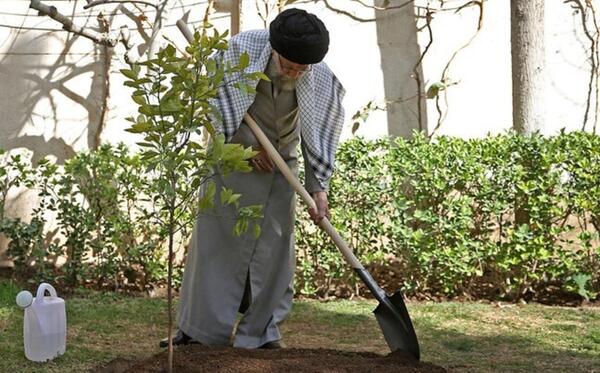 عکس رهبر در حال کاشت درخت