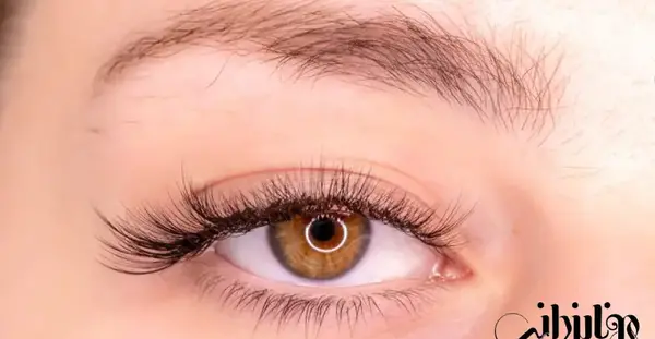 عکس کاشت مژه مدل گربه ای