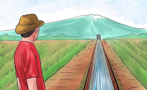 عکس مراحل کاشت برنج