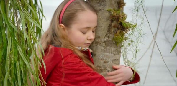 عکس کارتون گربه های ترسو