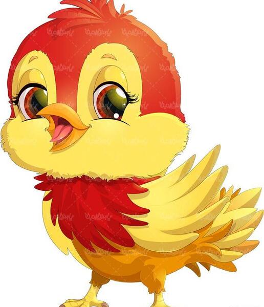 عکس گنجشک بچه گانه