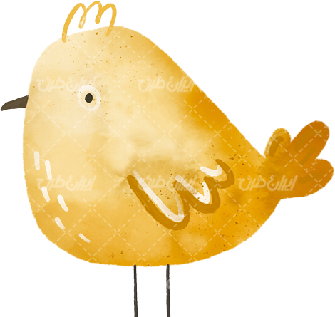 عکس گنجشک بچه گانه