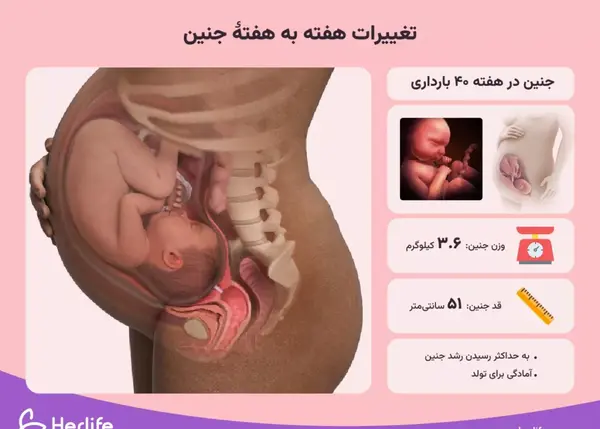 عکس بچه سه ماهه تو شکم