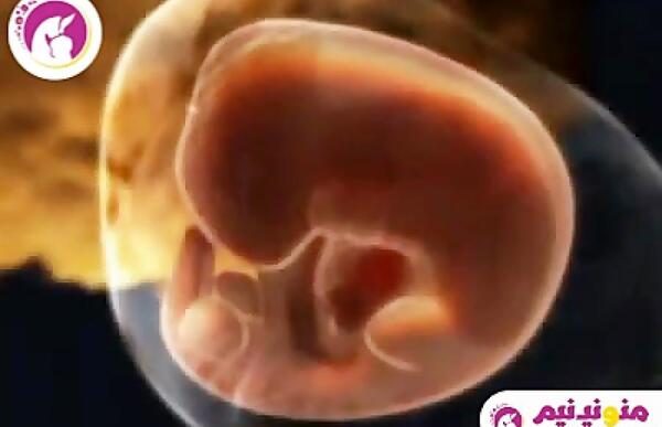 عکس بچه سه ماهه داخل شکم