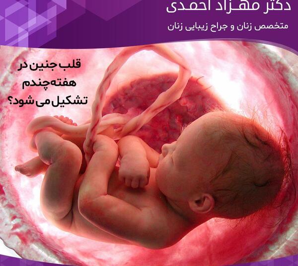 عکس بچه یک ماه تو شکم مادر