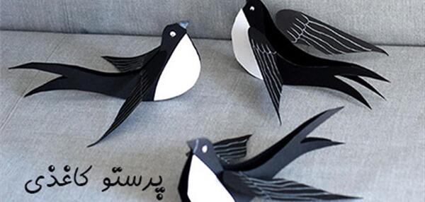 عکس بچه پرستو سیاه