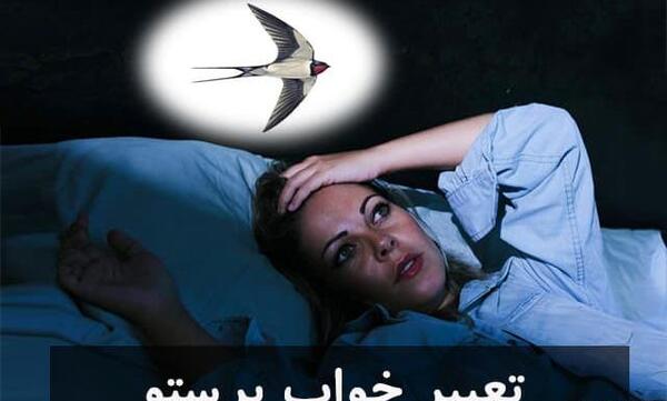 عکس بچه پرستو سیاه