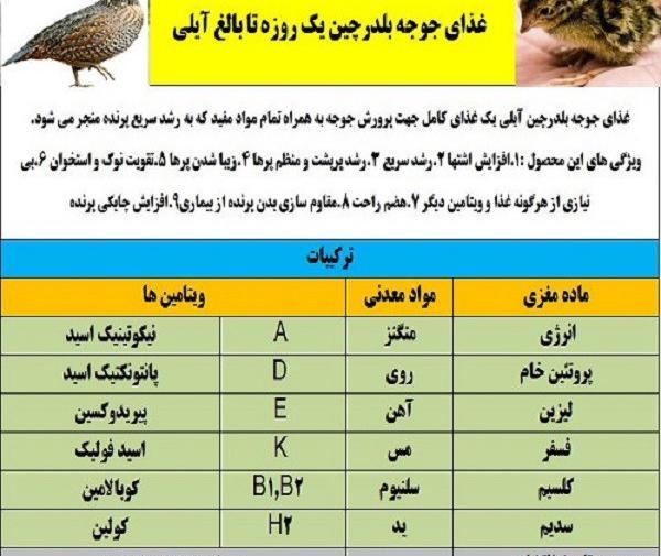 عکس بچه جوجه بلدرچین
