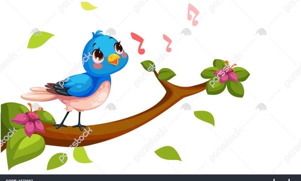 عکس بلبل بچه ها