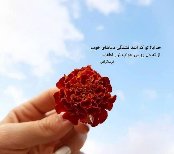 تصاویر و عکس نوشته های زیبا