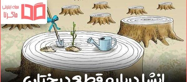 تصوير نويسي عکس های انشا جشنواره خوارزمی