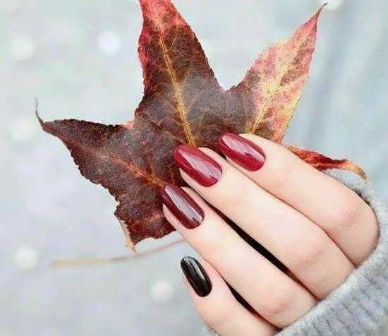 عکس برای تصویر نمایه