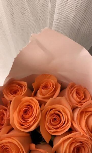 عکس تصویر زمینه ی نارنجی