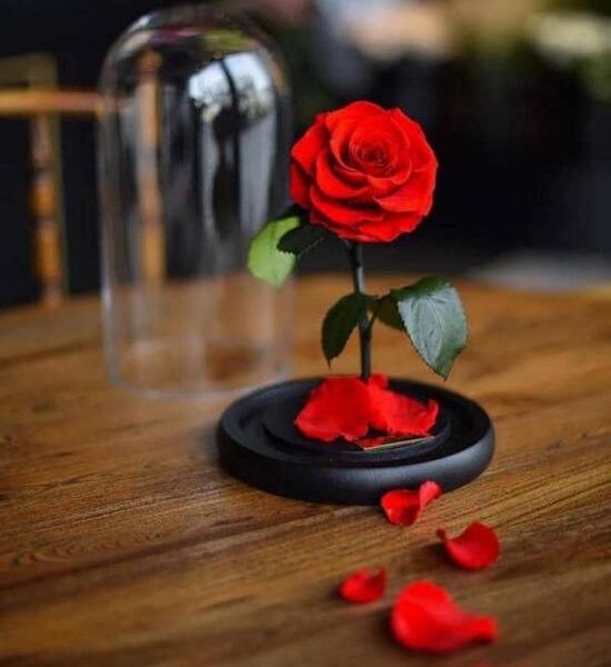 عکس تصویر زمینه گل مریم