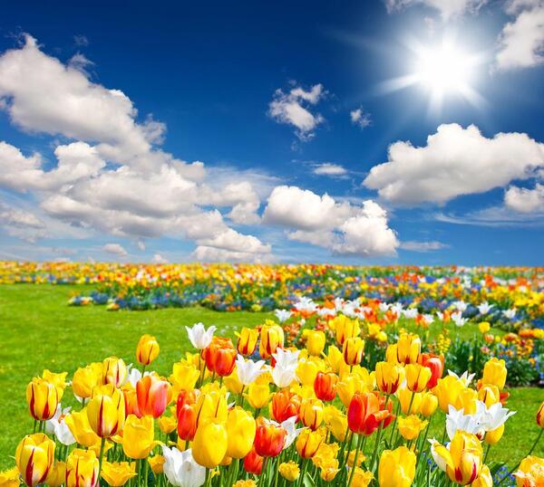عکس تصویر زمینه موبایل دانلود