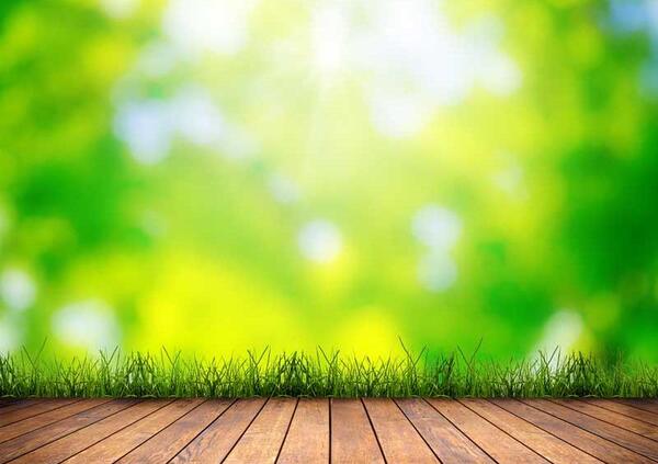 عکس سبز تصویر زمینه
