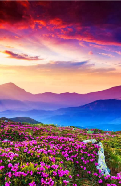 عکس برای تصویر شاد
