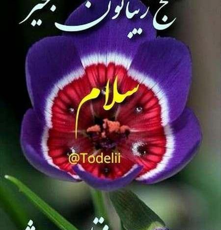 عکس تصاویر صبح بخیر