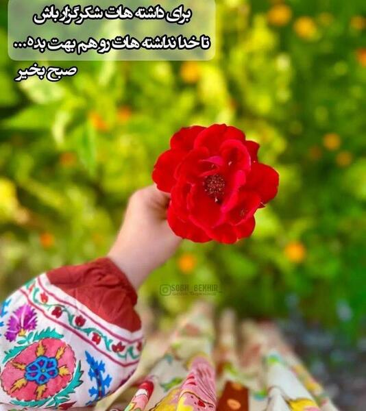 عکس تصویر سلام صبح بخیر