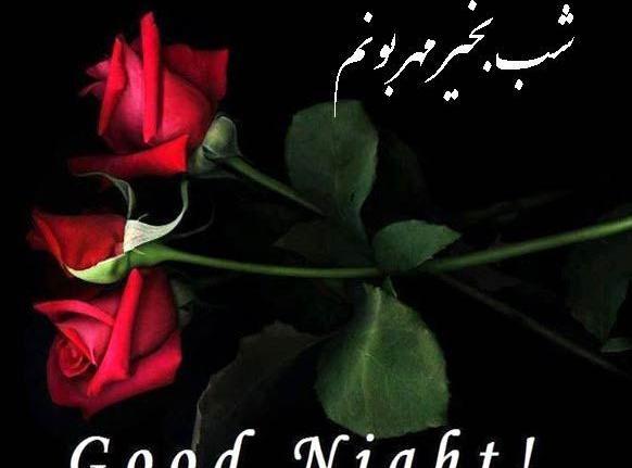 عکس تصاویر شب بخیر