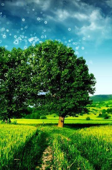 عکس تصویر زمینه سر سبز