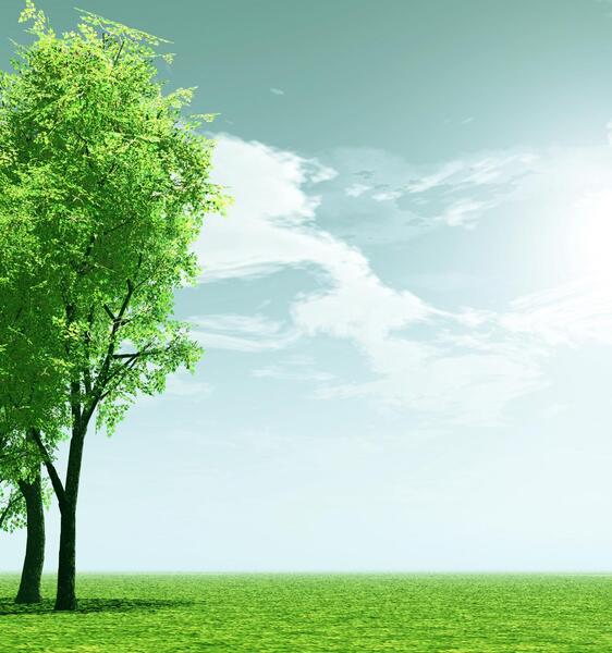 عکس تصویر زمینه سر سبز